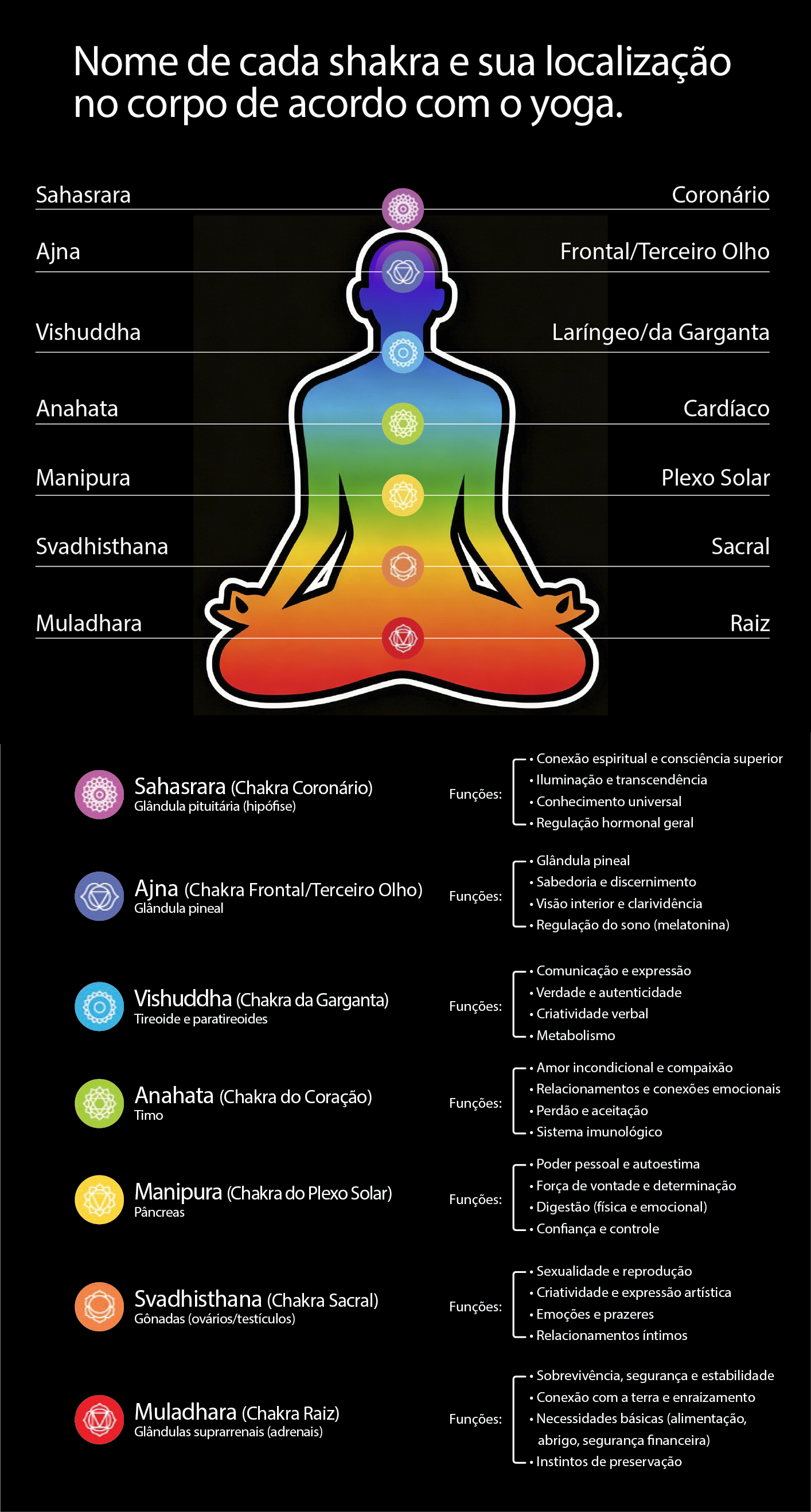Os Sete Chakras Vertical